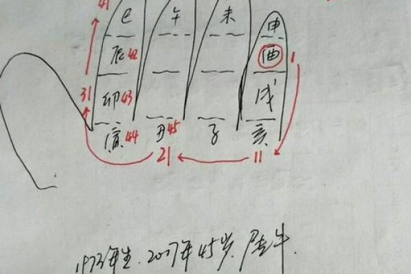 解码47年：探索乙亥之命的神秘与智慧