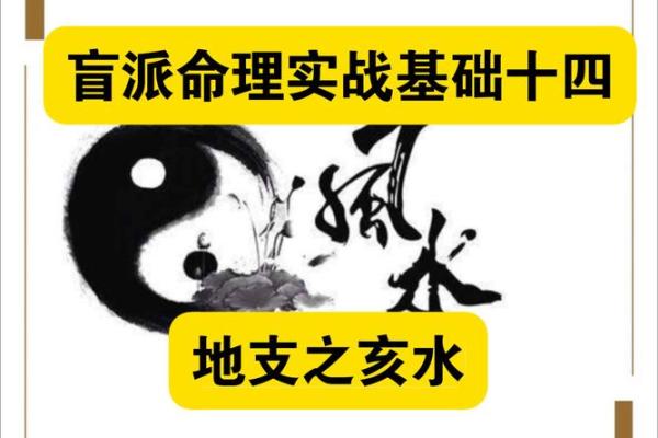 解码47年：探索乙亥之命的神秘与智慧