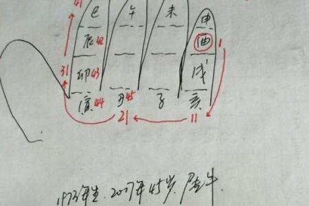 解码47年：探索乙亥之命的神秘与智慧