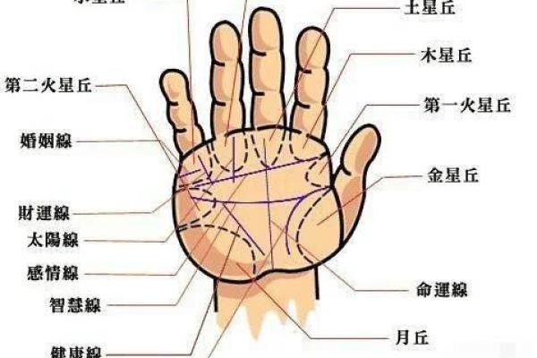 八零年代的命运：解读1978年出生者的命理特征与人生轨迹