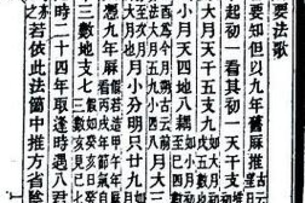 乙酉男命适合的职业选择与发展路径探讨