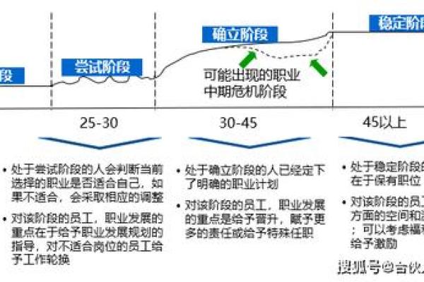 乙酉男命适合的职业选择与发展路径探讨