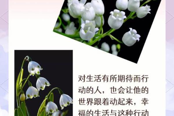 通过生辰命里缺什么来寻求内心的平衡与幸福 通过生辰命里缺什么来寻求内心的平衡与幸福