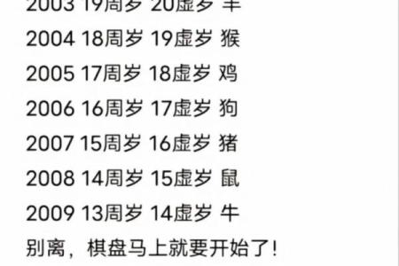 2023年农历生肖解析：探寻你的命运之路