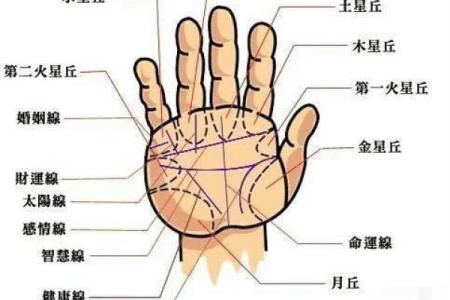 八零年代的命运：解读1978年出生者的命理特征与人生轨迹