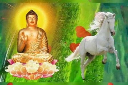 揭秘2038年马年命运：生肖马的性格与未来展望