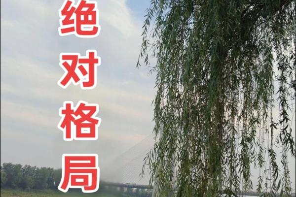 探秘命理：揭开人生格局的神秘面纱