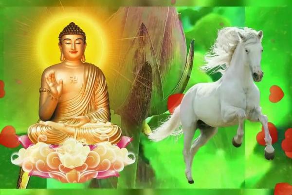 一九九零年属马的命运解析：如何发掘你的潜力和优势？