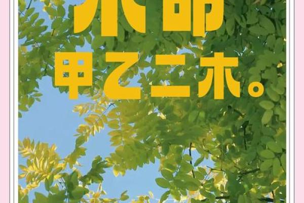 探秘木命之人：性格特点与内心世界的独特魅力