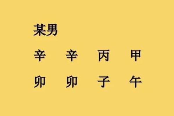 论木命男与什么命相配最有助于生养优质孩子
