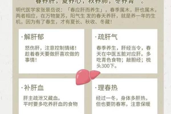 论木命男与什么命相配最有助于生养优质孩子