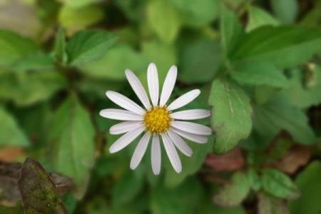 命中的缺花，如何在生活中补齐？