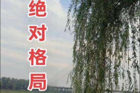 探秘命理：揭开人生格局的神秘面纱