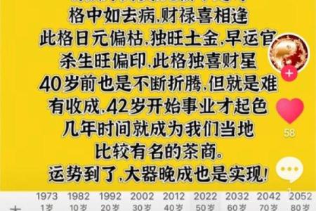 揭开命理八字乙亥的神秘面纱，探索其独特命格与人生哲学