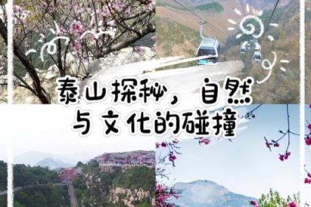 探秘泰山童子命：命理中的独特魅力与人生轨迹