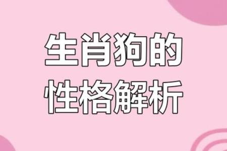 揭秘70年属相与命运之间的奇妙关系