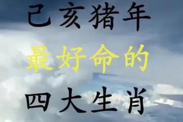 己亥猪年腊月命理解析：如何应对与提升个人运势