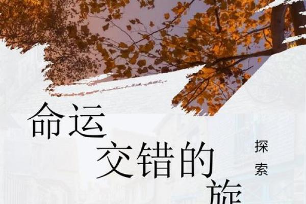 命运的交响：探索命与听天由命的哲学