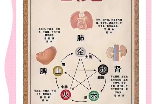 白蜡金命与五行的关系：生克制化的奥秘解析