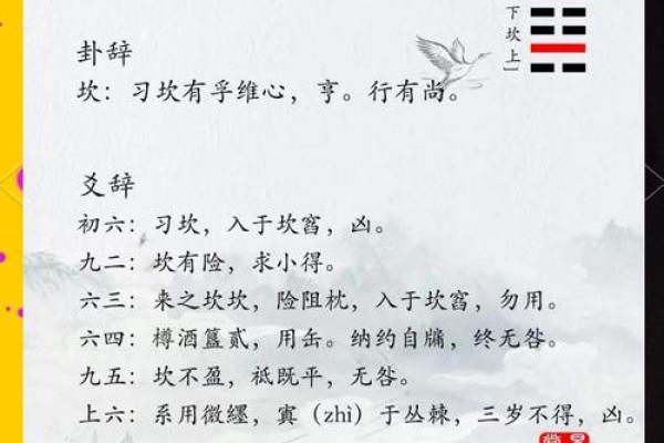 1992年卦命解读：命运的符号与人生的启示
