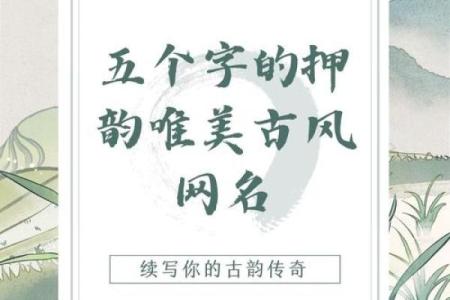 天河水命：追寻灵动的网名之美