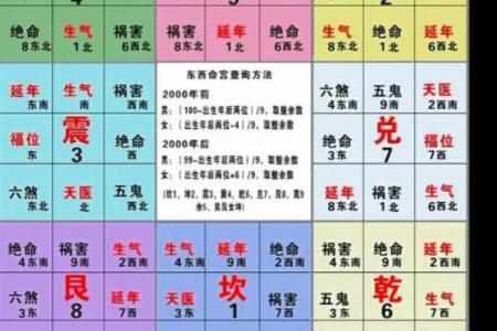 东四命与西四命的奥秘：命理与人生的精彩交汇