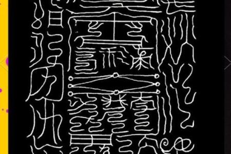 命运的交响：探索命与听天由命的哲学