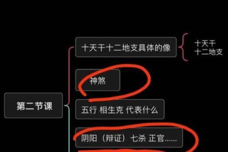 探索1997年2.3的命理奥秘：揭开命运的神秘面纱