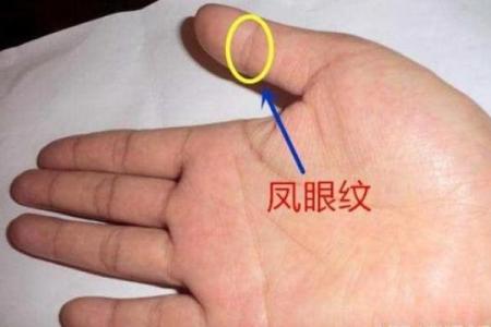 脚大拇指长毛的原因与命运解析，揭示健康与运势的微妙关系