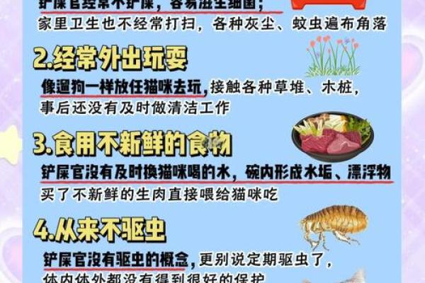 猫咪的致命敌人：那些会要命的虫子揭秘！