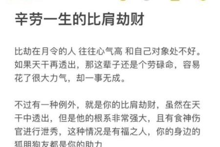 揭示八字命理中的大富大贵命运之谜