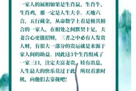 了解属鼠人的命运与性格特征，揭开3000年属鼠命的神秘面纱