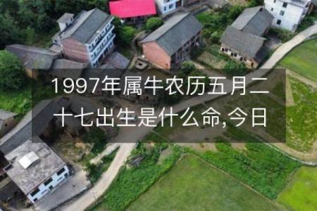 1997年出生的人属“牛”，一生精彩的命运与性格探究