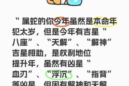 1986属蛇的命运与人生轨迹解析