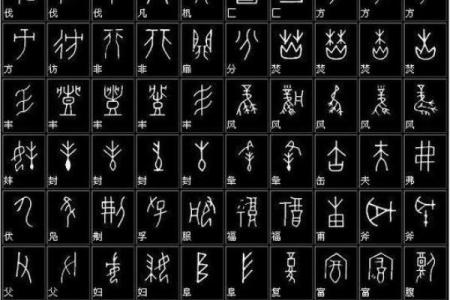 命字在古代代表的生肖及其寓意探析