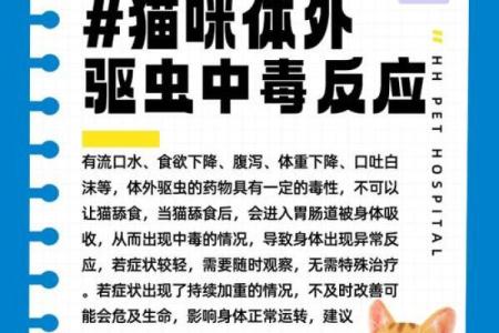 猫咪的致命敌人：那些会要命的虫子揭秘！