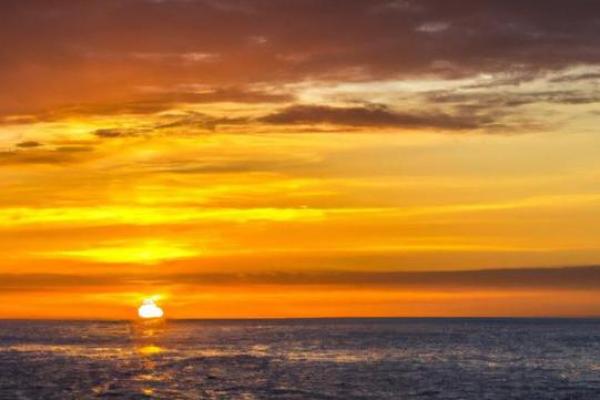 2005年是牛年：勤奋坚韧的力量与财富之道