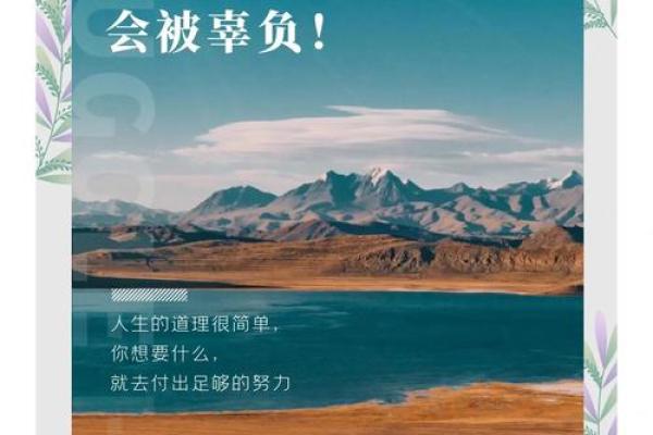 男孩命硬的好处与生活智慧：人生的逆境与成长之路