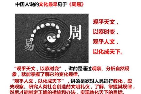 乞丐的命运与生活：揭示社会底层的生存哲学与智慧