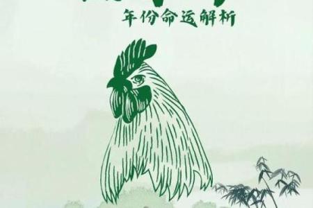 1993年出生的鸡：金命之谜与生活哲学