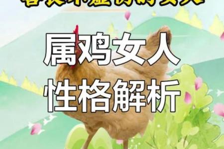 属鸡人士41岁命运解析：寻找人生新方向的关键时刻