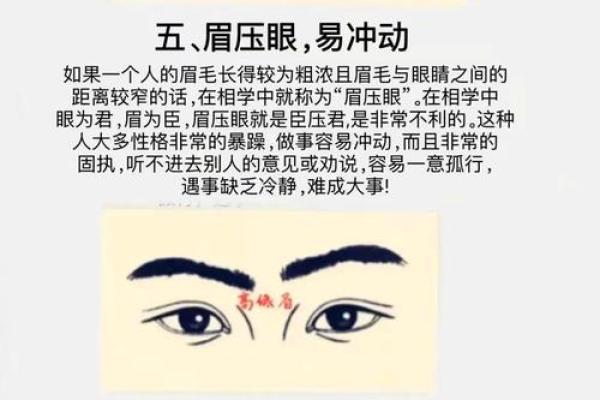 月牙眉的人命运解析：解读你的眉型之谜