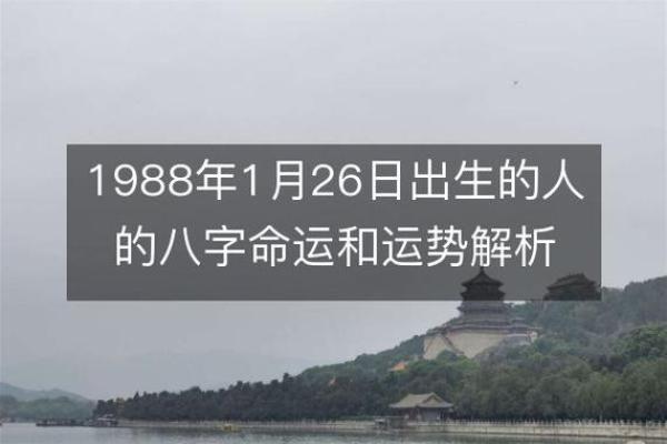 1988年出生的人：命运与个性解析_1