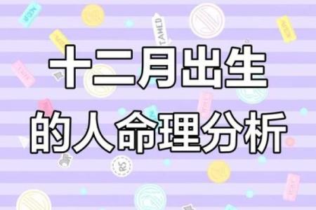探索12月出生者的命运与性格特点：神秘而独特的存在