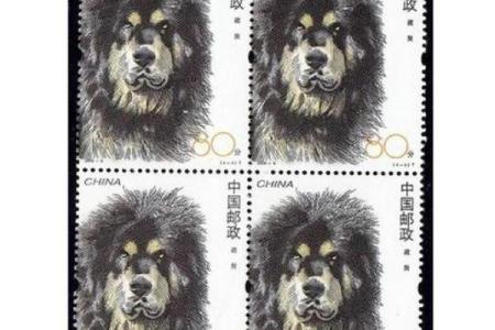 2006年狗年：命中注定的忠诚与智慧之旅