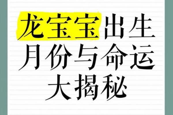 2012年龙年出生者：命理解析与人生指引之旅