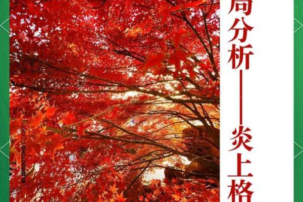 探寻命理：哪些命格注定大富，拥有财富的秘密！