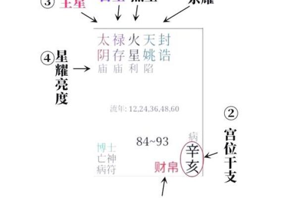 数字命盘揭秘：解析你的财运密码，助你致富之路！