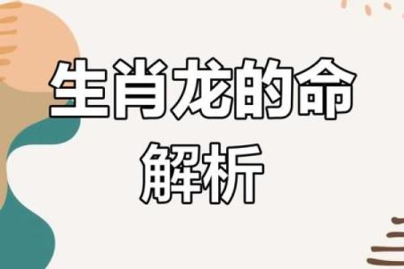 1992年属龙的命运与性格解析：如何把握人生的关键时刻
