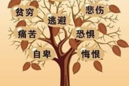 1960年出生的人：命运的秘密与美好人生的密码